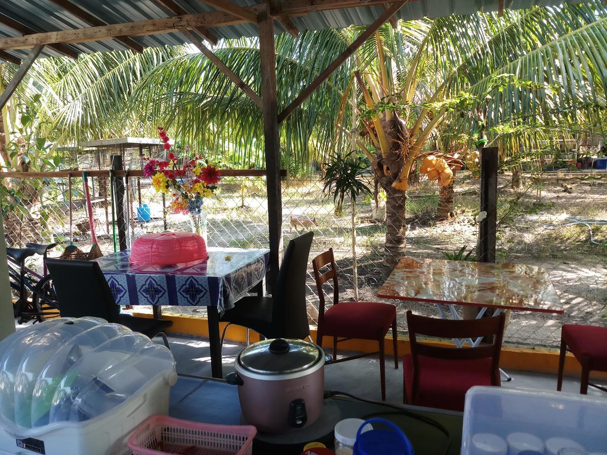 Tony'S Guesthouse At Teluk Bahang Batu Ferringhi Esterno foto